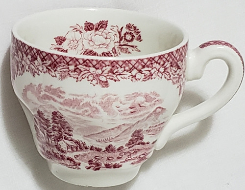 Taza Café Con Plato Loza Inglesa Antigua Royal Warwick