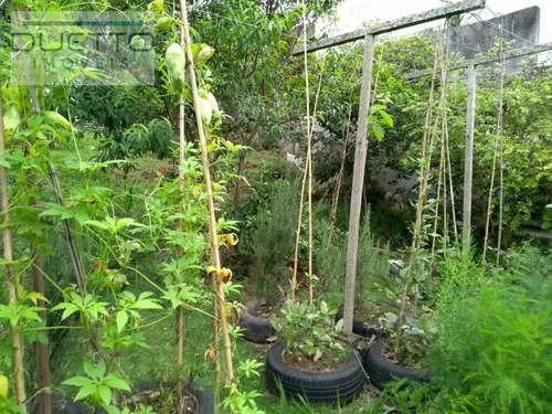 Imagem 28 de 28 de Casa À Venda No Bairro Vila Suissa - Mogi Das Cruzes/sp - So0016