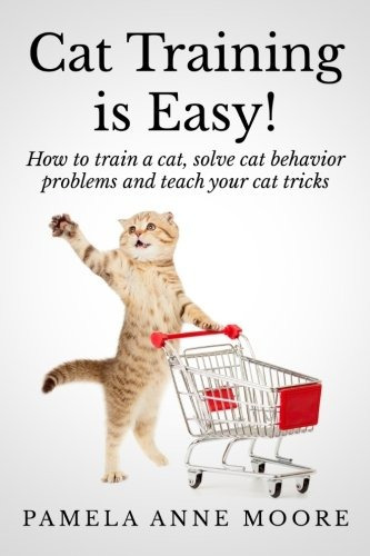 Cat Training Is Easy! How To Train A Cat, Solve Cat Behavior