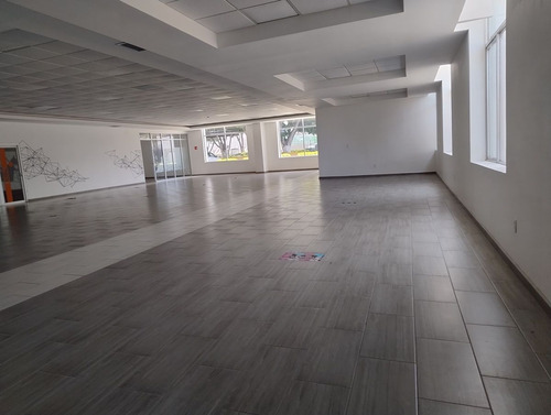 Oficina En Quéretaro 5 De Febrero
