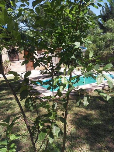 Imagen 11 de 21 de Excelente Quinta Sobre El Río Coronda