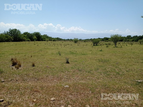 Campo - Punta De Agua