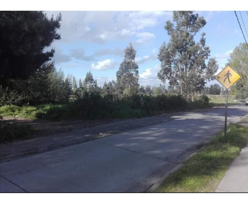 Oportunidad De Inversión En Labranza