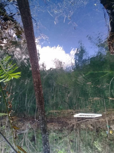 Imagen 3 de 5 de Terreno Ruta De Cenotes Puerto Morelos