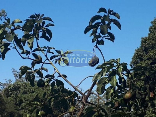 Imagem 11 de 20 de Chácara Para Venda No Bairro Recreio Da Borda Do Campo, - 10291