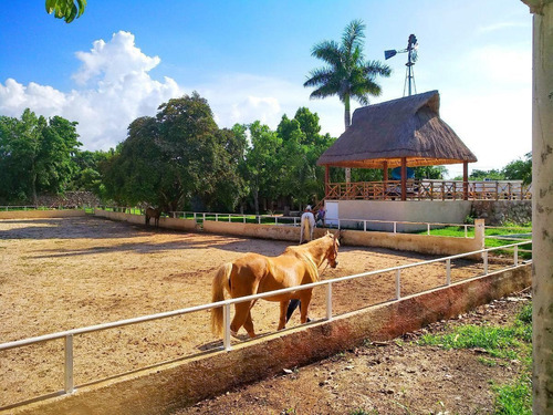 Imagen 4 de 30 de Quinta En Cholul, Mérida_diseño Unico