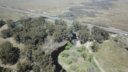 Imagen 5 de 9 de Campo - Rio Lujan