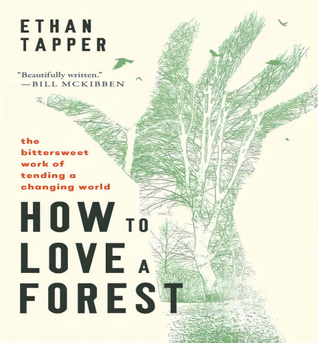 Ht Love A Forest, De Tapper Ethan. Editorial Fortress En Inglés, 2024