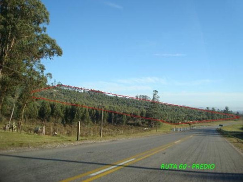 Campo En Venta En Lavalleja, 4 Hectáreas.