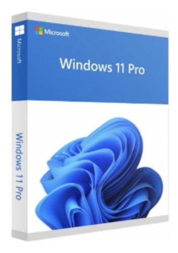 Windows 11 Pro 1 Dispositivo
