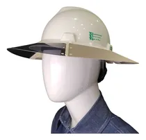 Comprar Kit Msa Casco Ala Ancha V-gard Y Visera Para Casco Ala Ancha