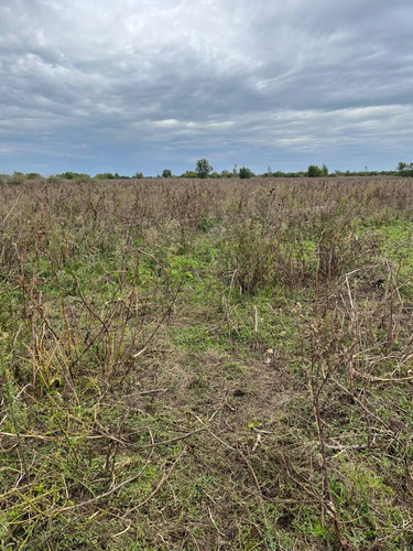Excelente Campo De 40 Hectareas, Villa Paraancito, Acceso Vehicular, Luz, Ganadero O Plantacion