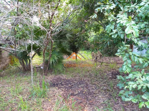 Imagem 2 de 5 de Terreno À Venda, 500 M² Por R$ 350.000,00 - Porto Novo - Caraguatatuba/sp - Te0123