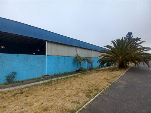 Imagen 12 de 12 de Arriendo Amplia Propiedad - Placilla Poniente