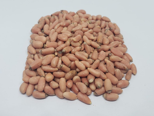 Piñón Rosa 100 Gramos