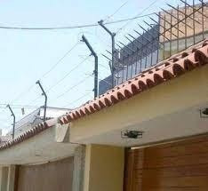 Imagen 4 de 10 de Cercos Eléctricos