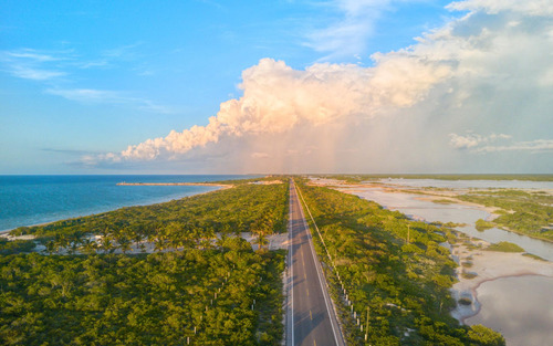 Terreno En Venta Frente Al Mar, San Crisanto, Yucatán. 