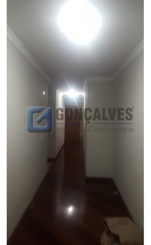 Venda Apartamentos Santo Andre Bairro Jardim Ref: 51244 - 1033-1-51244