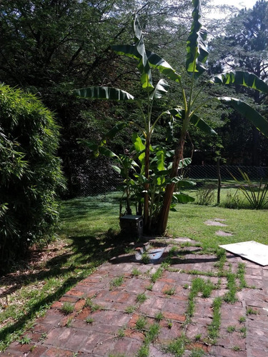 Imagen 7 de 14 de Casa Quinta Venta Terreno Lote Propiedades Zona Oeste Moreno