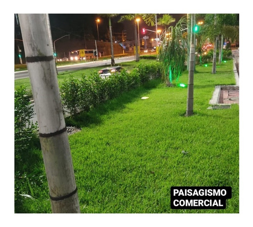 Imagem 3 de 8 de Grama Esmeralda 2 Quilo P/ 2000 Metros Quadrados Manual