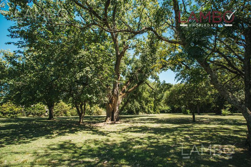 Venta Lote Pilar La Esperanza