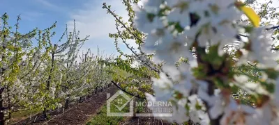 Agrícola en venta