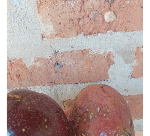 Maracuyá Rojo Trepadora 1 Planta 20 Cm Con Maceta Exterior