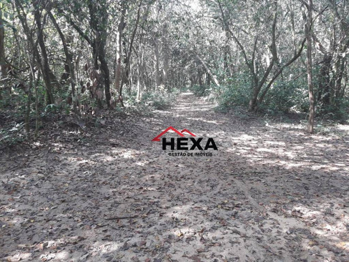 Chácara Com 2 Dormitórios À Venda - Zona Rural - Goiânia/go - Ch0016