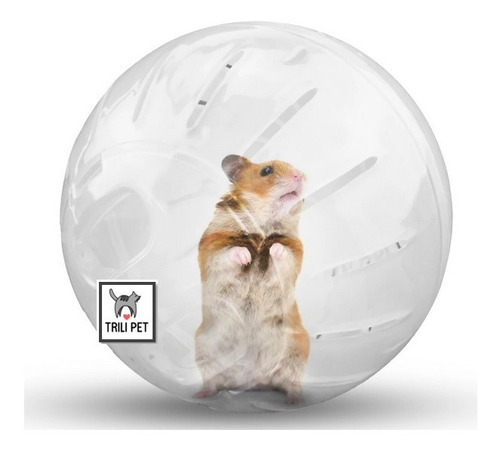 Pelota Bola Esfera Rueda/ Para Roedores-hamster-transparente