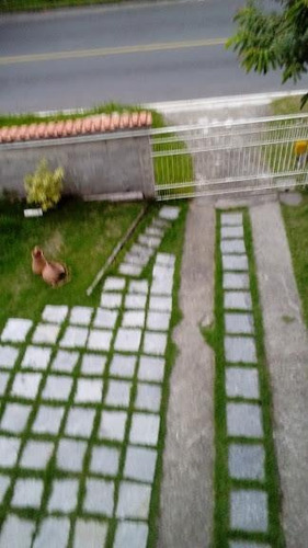 Imagem 7 de 22 de Casa Em Vila Progresso, Niterói/rj De 920m² 3 Quartos À Venda Por R$ 800.000,00 - Ca648376-s