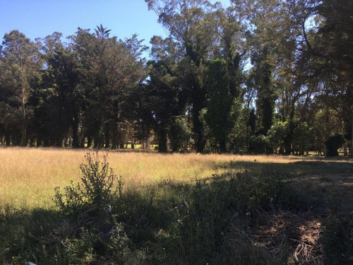 Imagen 2 de 8 de Terreno En Venta Lote 920 M², Zona Parque Peña