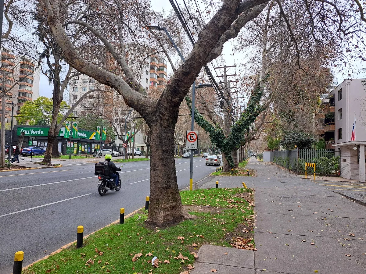 Alcantara / E. Yañez, Excelente Ubicación, Pasos Comercios