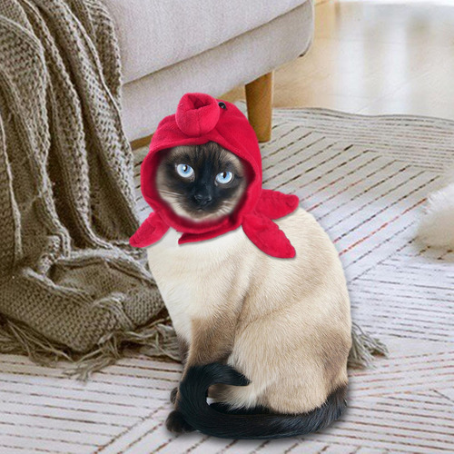 Perro Gato Sombrero Sombrero Divertido Cálido Para Pulpo