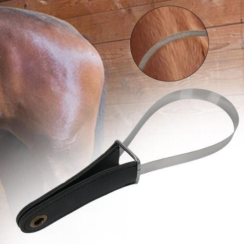 Herramientas De Sudor De Caballos De La Cepillo De Limpieza