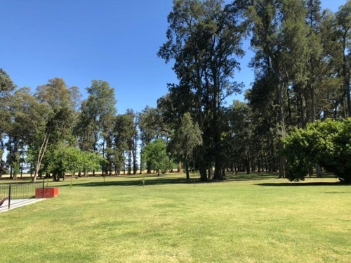 Imagen 10 de 15 de Lote Los Tres Pinos