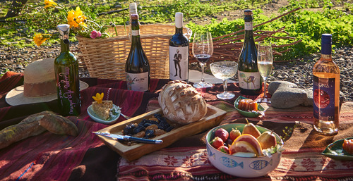 Mujer Andina Wines Livianita De Sangre Espumente Brut Zero
