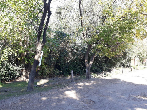 Imagen 3 de 8 de Terreno - Paso Del Rey