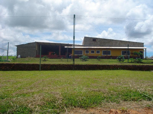 Imagem 11 de 15 de Chácara Para Venda Em Ra Xiv São Sebastião, Zona Rural - M0341_1-1629809