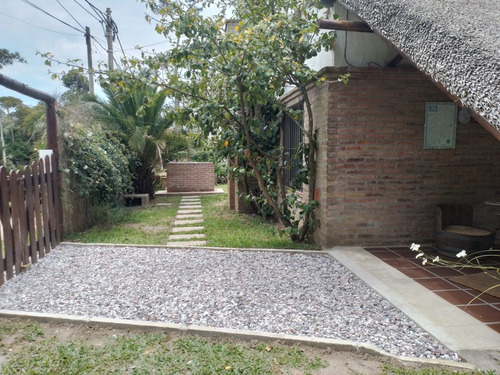 Las Rosas En La Paloma