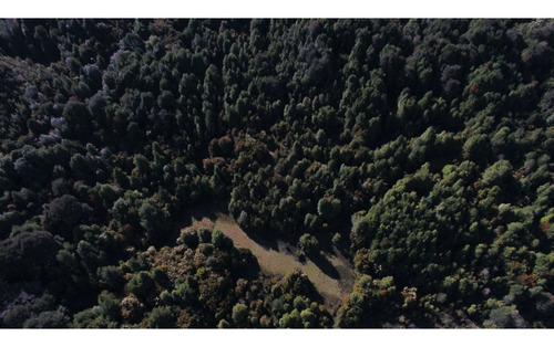 Imagen 6 de 15 de Venta Sitios/ Carretera Austral Km 30/patagonia Chilena