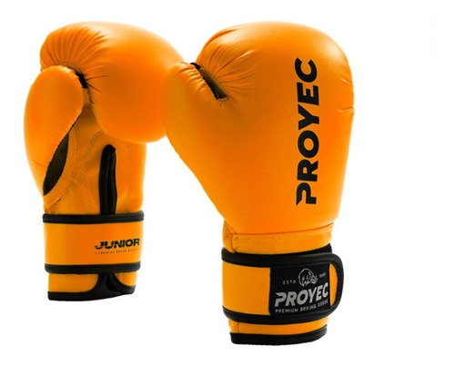 Guantes De Boxeo Niño Proyec Box Kick Boxing Full Thai Mma