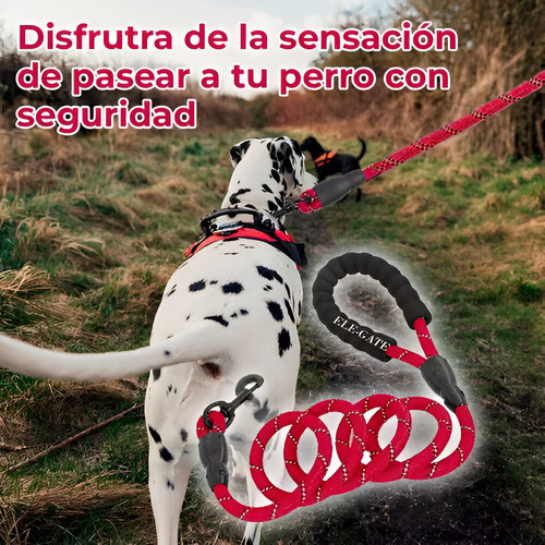 Correa Nylon Mascotas Reflectante 1.5 Metros Asas Doble Color Rojo