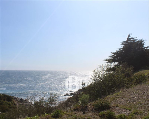 Imagen 1 de 7 de Sitio En Venta En Zapallar
