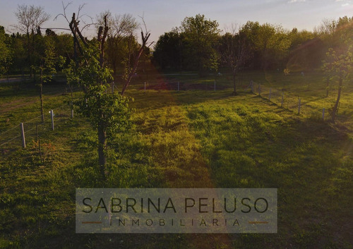 Lotes En Venta Moreno - La Reja