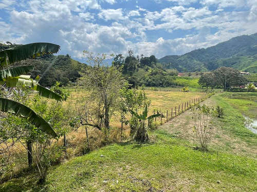 Imagen 20 de 30 de Espectacular Finca Clima Caliente En Venta Porce