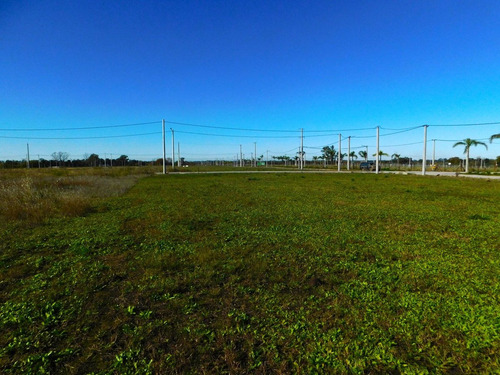 Venta Lote En El Lazo En Exaltacion De La Cruz
