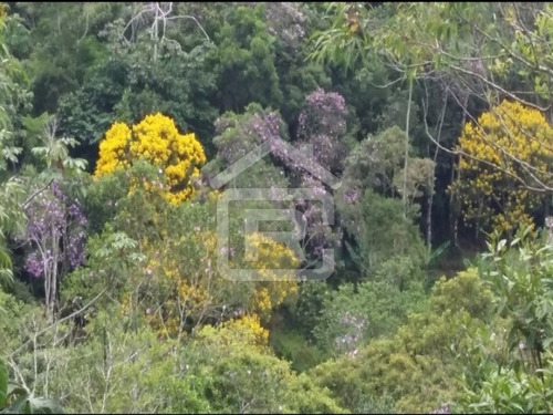 Imagem 22 de 30 de Lindo Sitio Com Uma Maravilhosa Vista No Alto Do Morro Tendo Uma Linda Vista Para O Pôr Do Sol - 113 - 69319003