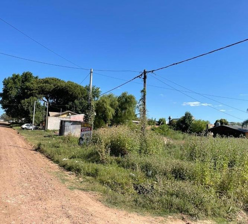 Imagen 6 de 6 de Terrenos En Las Piedras Y Tucumán