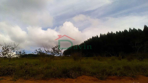 Imagem 8 de 23 de Área Na Represa - Capela Do Saco - 3ha (30.000m²) - V132