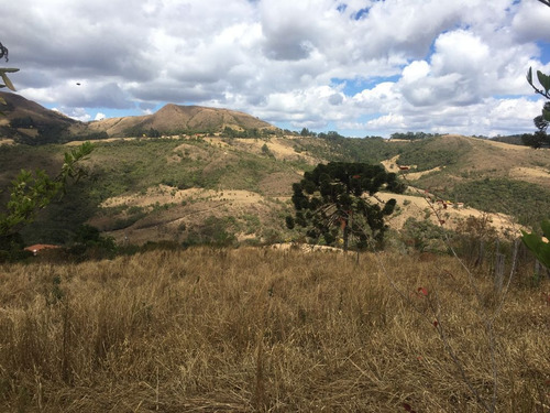 Imagem 4 de 24 de Chácara À Venda, 2800 M² Por R$ 80.000 - Zona Rural - Caldas/mg - Ch0126
